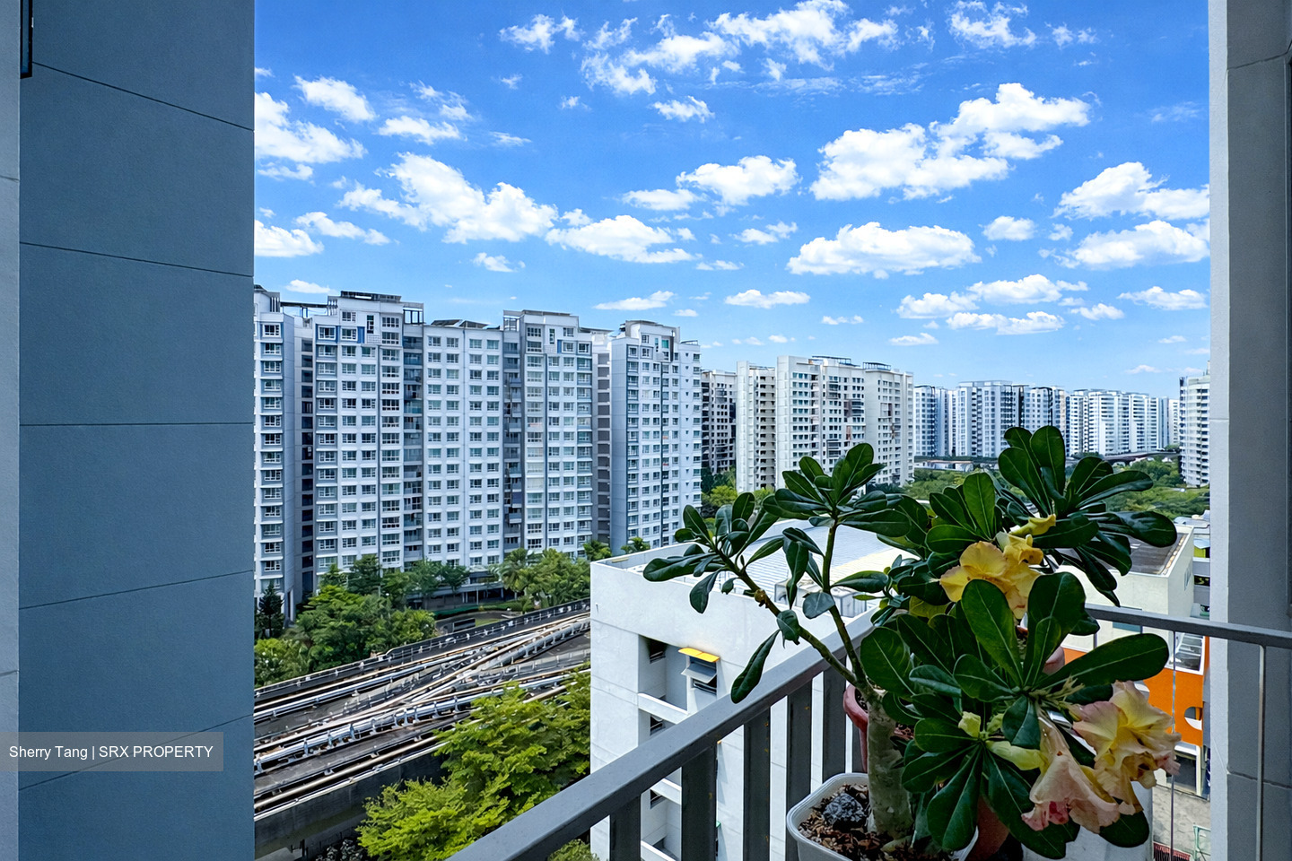 Twin Waterfalls (D19), Condominium #561580831